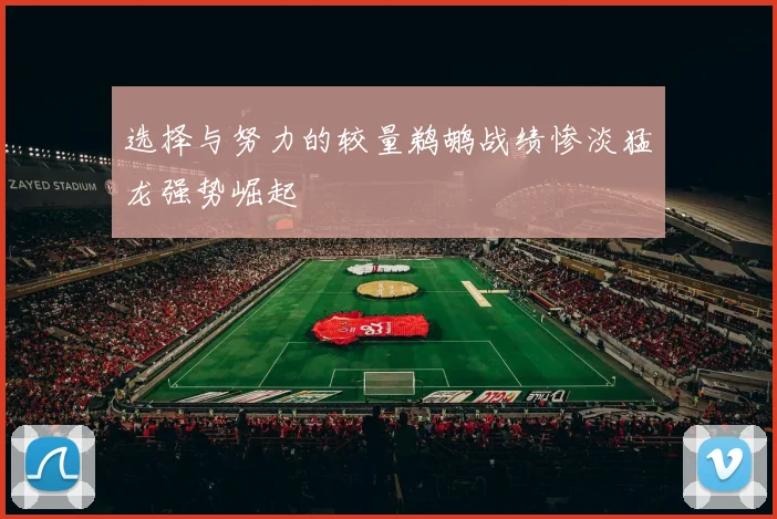选择与努力的较量鹈鹕战绩惨淡猛龙强势崛起