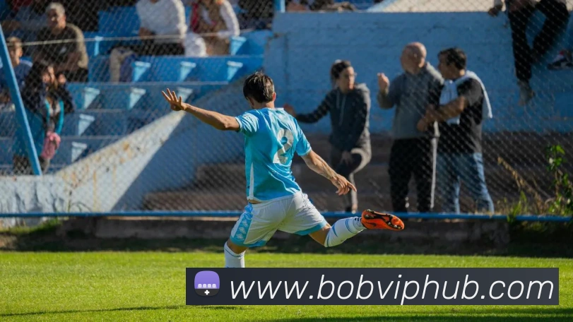 BOB体育发展历程